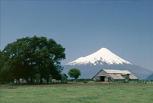 智利,农场,风景,火山,背影