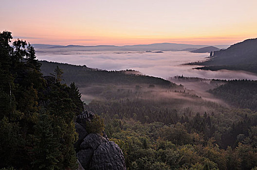 雾,砂岩,山峦,远眺,石头,背影,萨克森,德国,欧洲