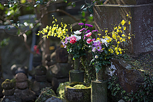 花,墓地