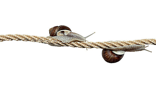 蜗牛,绳
