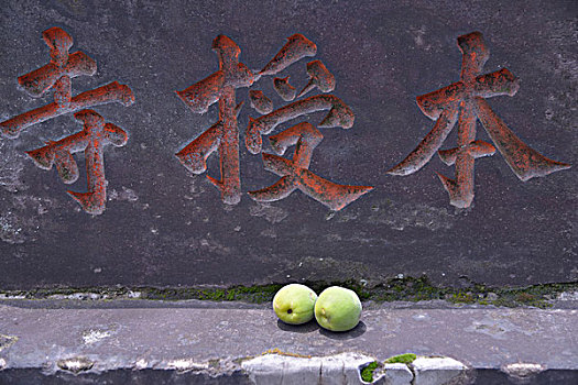 街道,东京,日本