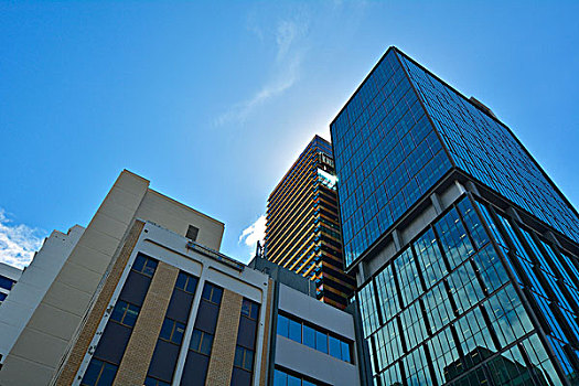 摩天大楼,建筑,布里斯班,昆士兰,澳大利亚