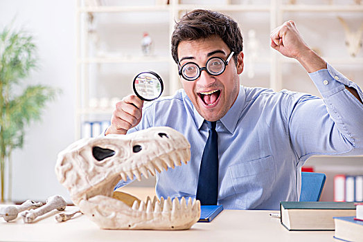 有趣,疯狂,教授,学习,恐龙,骨骼