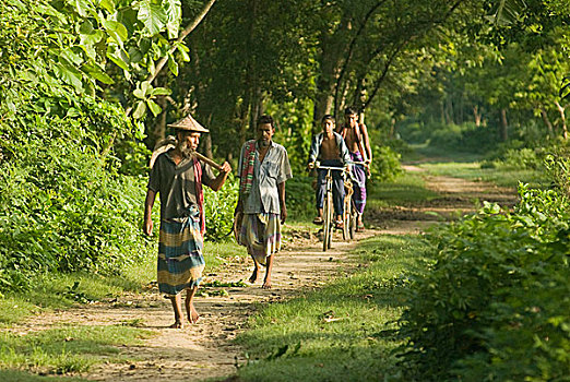 村民,泥,道路,乡村,孟加拉,六月,2007年