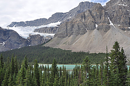 加拿大,毛茛属植物,冰川,落基山脉