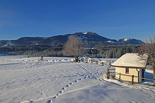 冬季风景