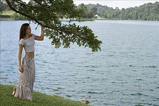 女人,站立,树下,湖