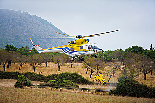 直升飞机,填充,水,容器,卡普德佩拉,马略卡岛,西班牙