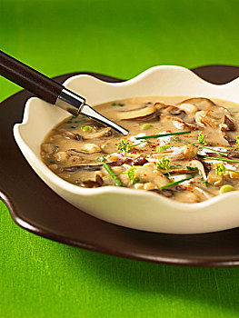 豆汤,蘑菇