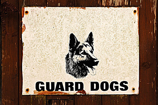 警犬,警告,标识,大门,英格兰,英国,欧洲