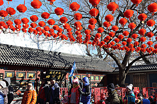 2017年2月12日北京西城区厂甸文化庙会
