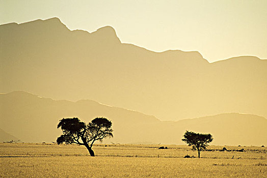 索苏维来地区,纳米比诺克陆夫国家公园,纳米比亚