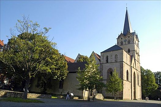大教堂,老,局部,北莱茵威斯特伐利亚,德国