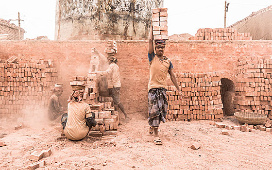 工人,砖,头部,砖厂,达卡,孟加拉,亚洲