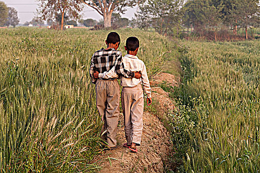 印度,两个男孩,走,土地