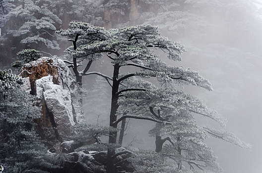 醉美黄山