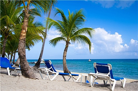 沙滩椅,棕榈树