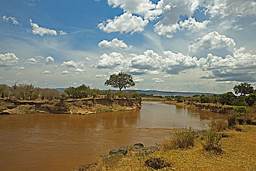 马拉河,马赛马拉国家保护区,肯尼亚,非洲