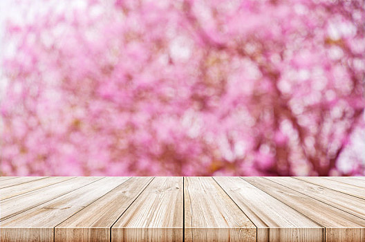 空,木桌子,上面,模糊,粉色,樱花,背景