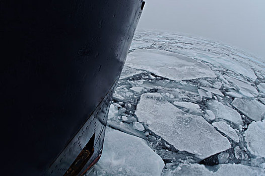 浮冰,靠近,船