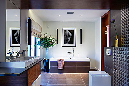 优雅,设计师,浴室,墙壁,天花板,盥洗盆,一个,浴缸,砖瓦,围绕
