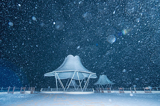 兴凯湖湿地公园冬天夜晚雪花飘