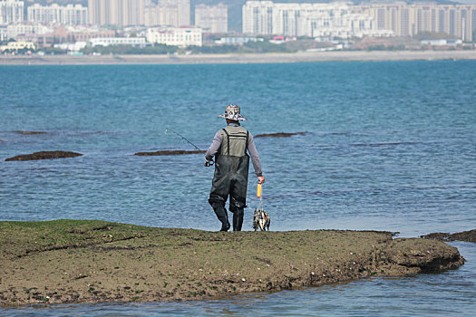 太公岛落大潮,市民登岛赶海拾贝收获多多