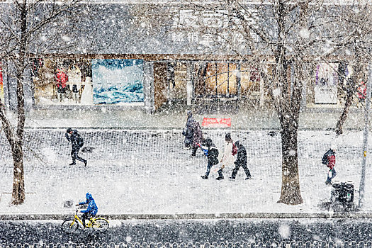 雪,道路,车