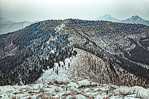 林海雪原