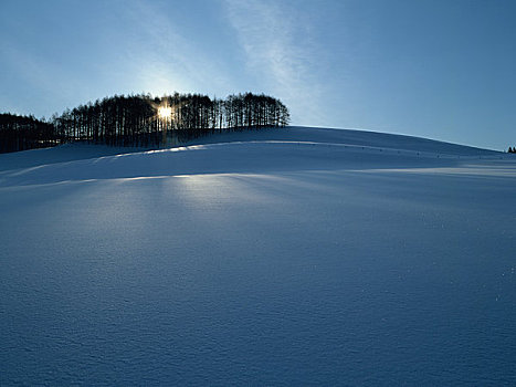 雪原,朝日