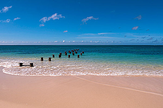 柱子,水中,海滩,阿鲁巴,小安的列斯群岛,加勒比