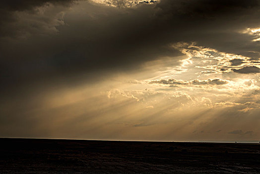 非洲草原,乌云蔽日