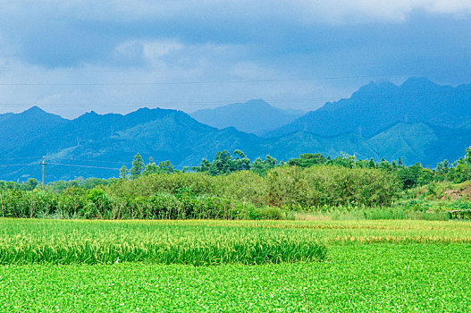 田野风光