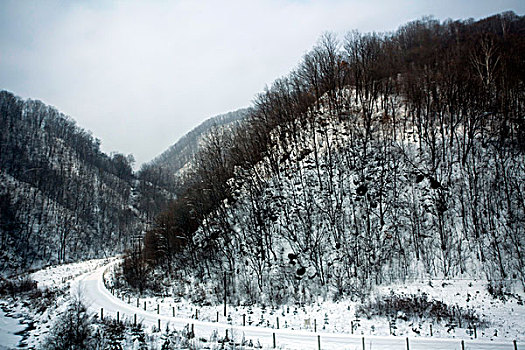 雪乡,雪村,吉林,临江市,村庄,山村,乡村,冬季,雪野,寒冷,农家,接待,旅游,松岭,东北,风情