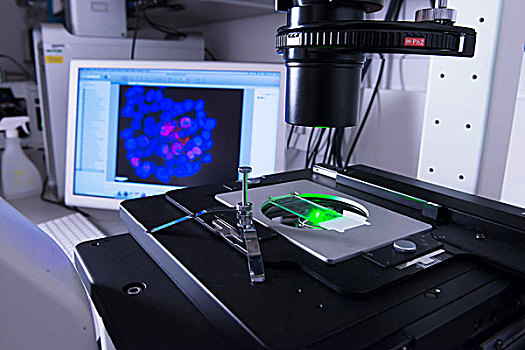 癌症研究,实验室,细胞,电子,显微镜