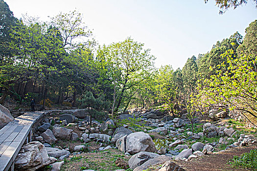 泰山景区