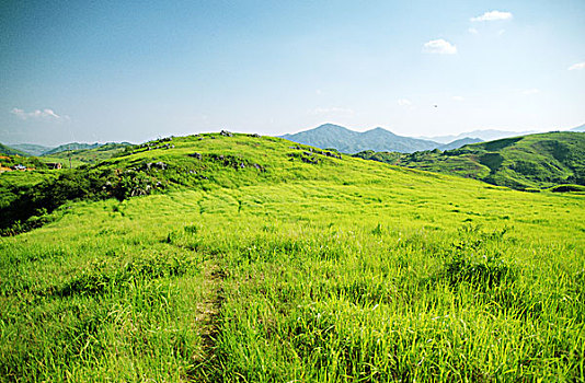 万亩大草原