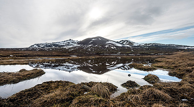 山,遮盖,雪,反射,小,湖,斯奈山半岛,西部,冰岛,欧洲