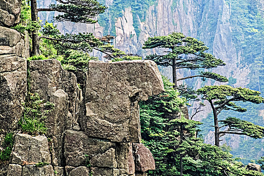 安徽省黄山市黄山风景区西海大峡谷自然景观