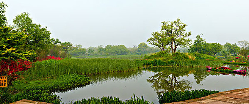 西溪湿地·绿堤