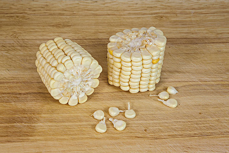 玉米_粗粮_切开_掰开_玉米粒_多个_饱满_室内_特写_棚拍_彩图_横图_无