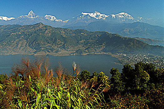 尼泊尔,喜马拉雅山,安娜普纳,山脉,顶峰