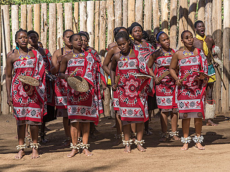 女人,传统服装,舞蹈表演,文化,乡村,斯威士兰,非洲
