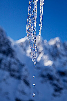 水,滴下,融化,冰柱,迟,冬天,背景,德纳利国家公园和自然保护区,阿拉斯加,美国