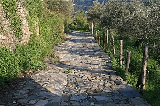 阿索斯山,路,小路