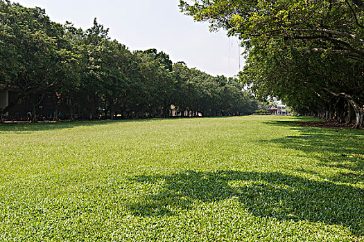 中山大学