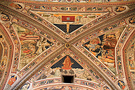 拱顶天花板,壁画,大教堂,圣母升天教堂,锡耶纳,意大利,欧洲