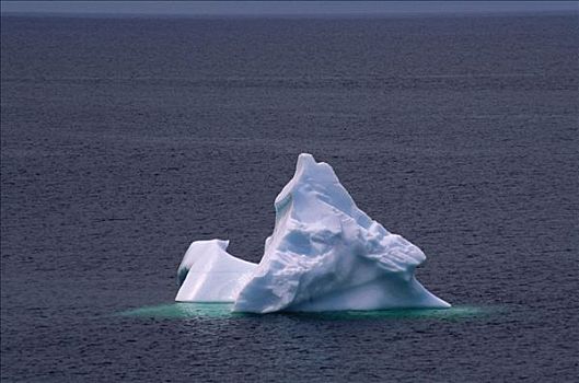 冰山,特威林盖特岛,纽芬兰,加拿大