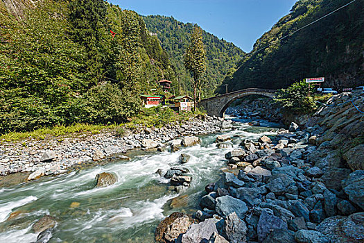 河,石桥,黑海,区域,土耳其