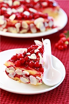 芝士蛋糕,红浆果